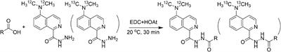 A strategy for accurately and sensitively quantifying free and esterified fatty acids using liquid chromatography mass spectrometry